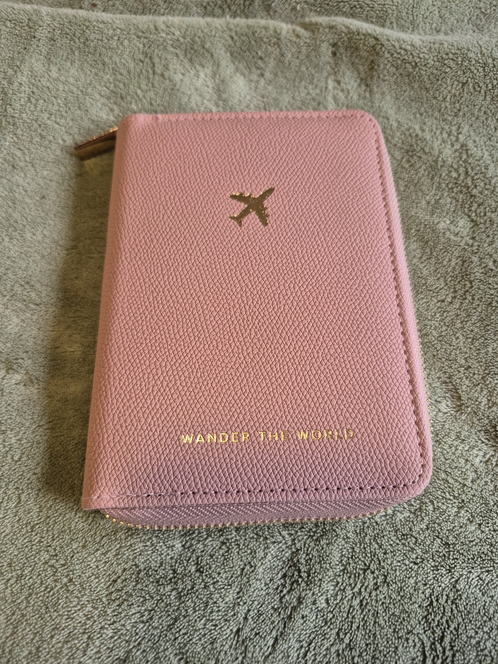 Pink Passport Wallet with Gold Plane Accent